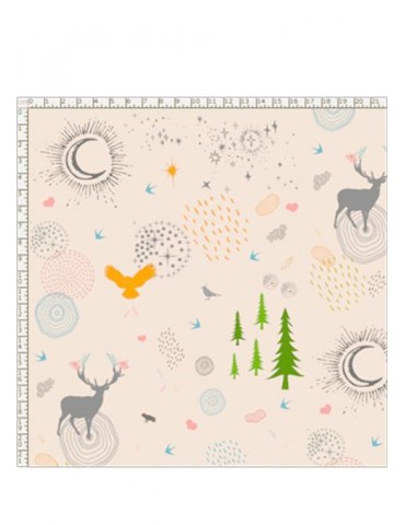 Housse de carnet de santé...