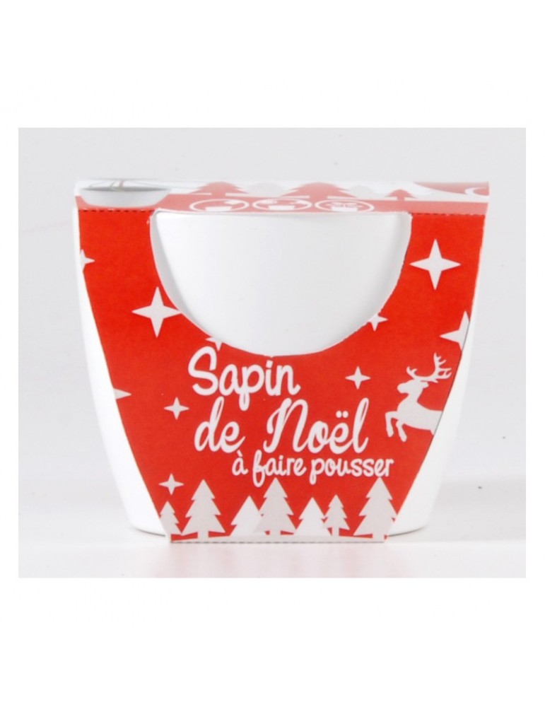 Kit Noël Radis Et Capucine - Mini Sapin épicéa En Pot Doré 8 Cm | Série Limitée | Idée Cadeau Et Décoration Festive