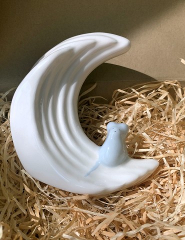 Boite à Dents lune et sa...