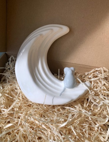 Boite à Dents lune et sa...