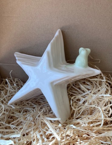 Boite à Dents étoile et sa...