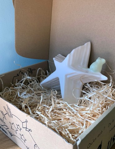 Boite à Dents étoile et sa...