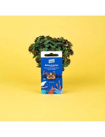 Bracelet "Bêtes à porter"...