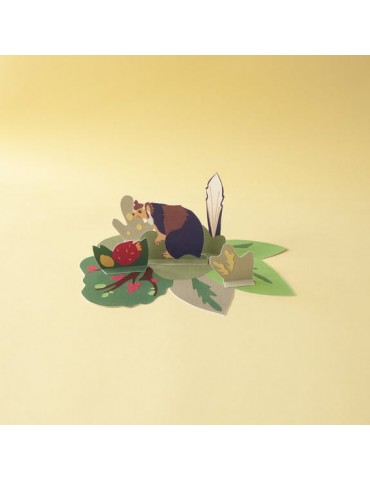 L'écureuil géant d'Inde et...